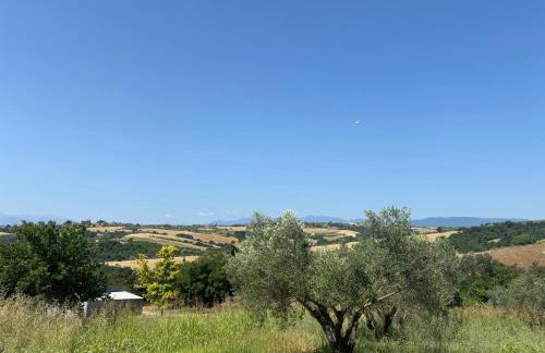 ΚΛΕΟΠΑΤΡΑ - Foto 8