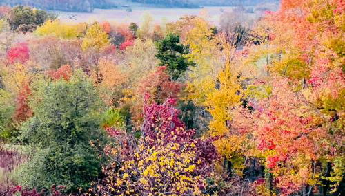 The Loft at Hebron Valley Overlook - Photo 2