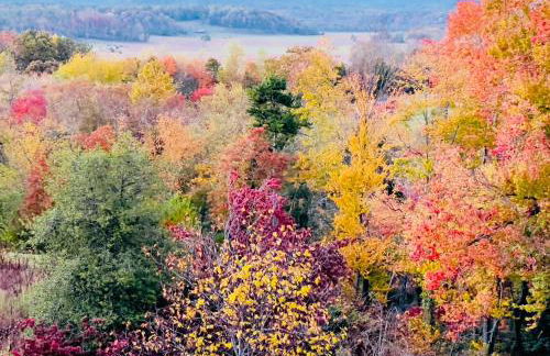 The Loft at Hebron Valley Overlook - Foto 2