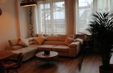 Galeria 3 lustra - Foto 5