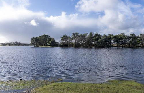 Hatchet Pond Cottage - Foto 48