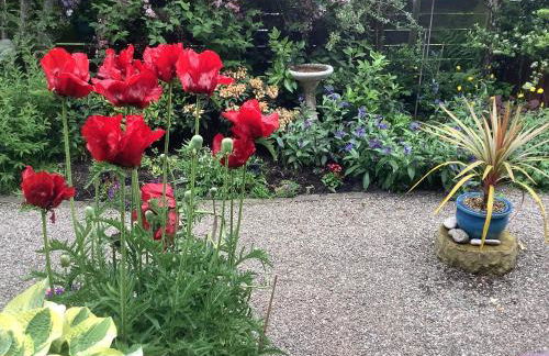 The Garden Flat - Photo 1