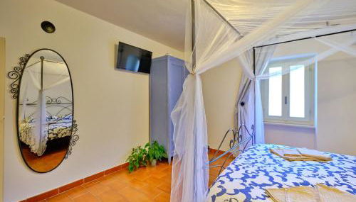 La Zinevrela - Foto 5