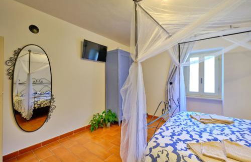 La Zinevrela - Foto 5