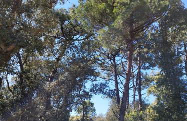 Villa Amaréva - Bois Henri IV - Foto 19