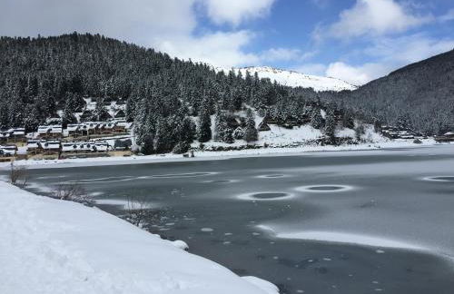 Gîte chaleureux au lac de Payolle - Foto 17