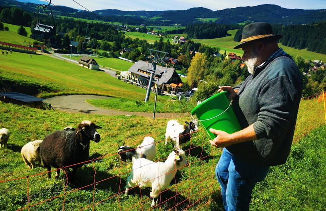 Holiday Home in Gaal im Murtal in a Beautiful Setting - Foto 45