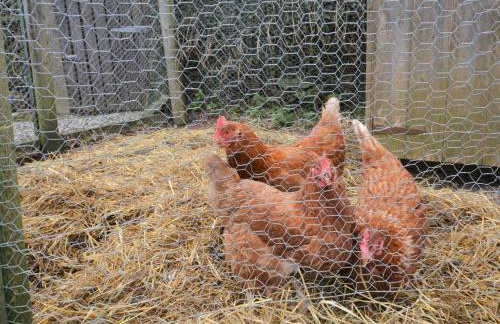 2 Bed in Bude oc-coryb - Foto 17