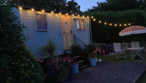 Shepherds Hut in the Hills - Nr. Mold - Foto 5, Garden