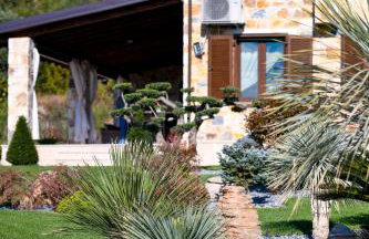 Pinelia Home - Foto 4