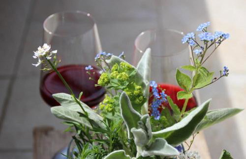 Ferienwohnungen Hasenknuck - Foto 42