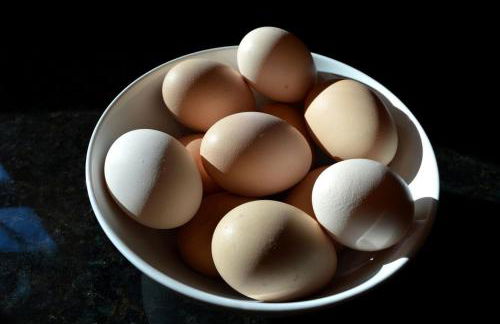 Luxury Log Cabin with Mountain and Forest Views near Asheville, North Carolina - Foto 26
