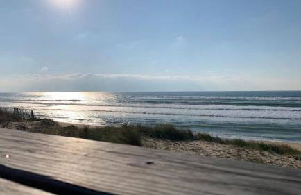 Ocelandes 39 - Foto 40