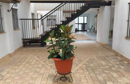 Sherryflat Laurel - Foto 30