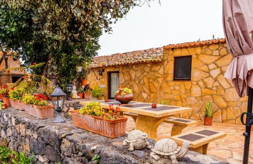 Live Buenavista El Palmar - Foto 38