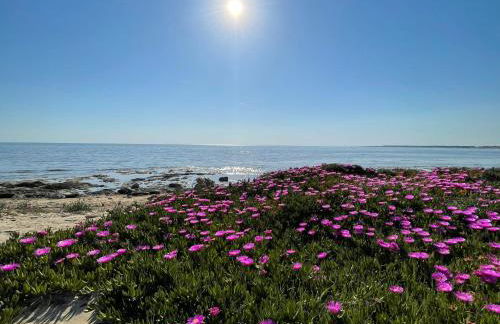 Home Salento 1 - Foto 4