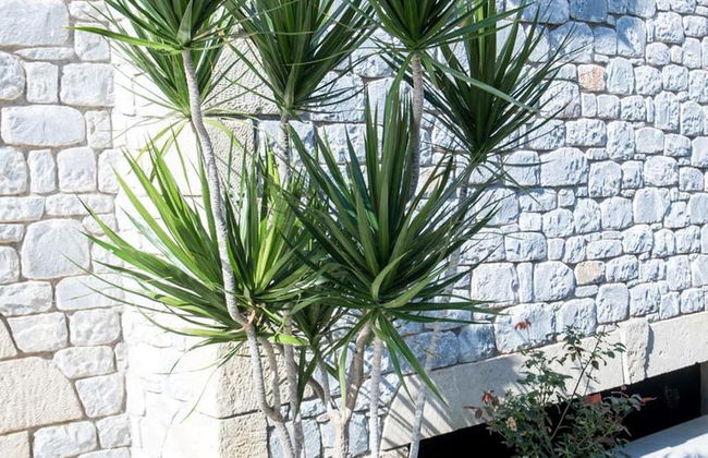 Manoleas Villas - Apartment 6 - Foto 43