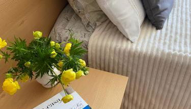 RESIDENZA LA CANONICA - Photo 2