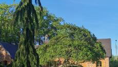 Violin house - Foto 3