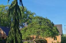 Violin house - Foto 3