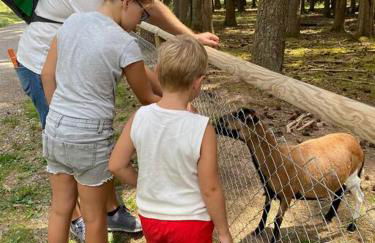 Ferienwohnung, Fischerbach im Kinzigtal - Foto 30