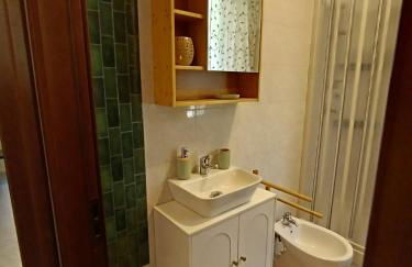 Ape Regina - Foto 20