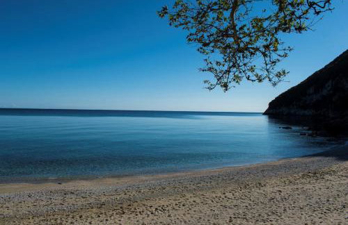 Feel at Home - Photo 31