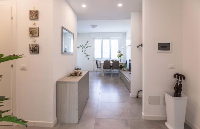 Sem Benelli - Photo 39