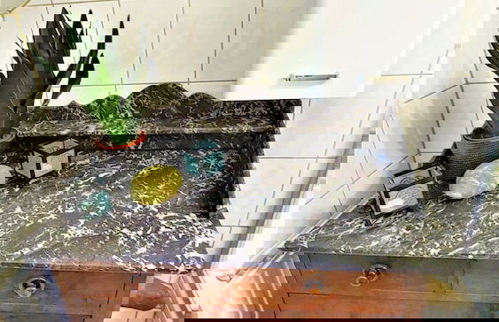 Golden Treasure Superior - Photo 15