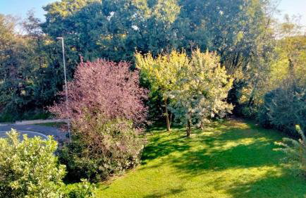 LA CASA DI Marco e Maida - Foto 16