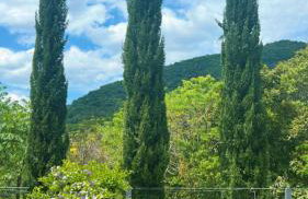 Chalé cipreste 4 Quartos - Foto 31