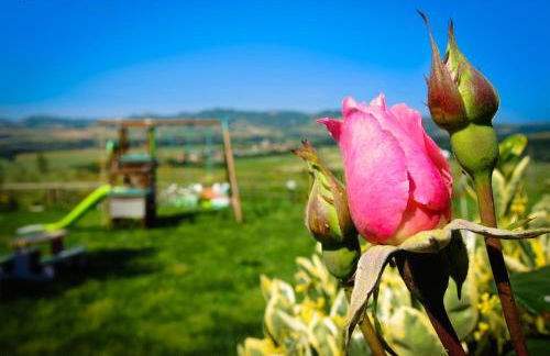 Agriturismo Il Canterino - Foto 43