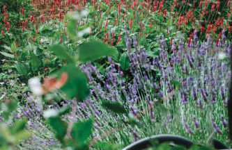 Welsh Cottage - Foto 38