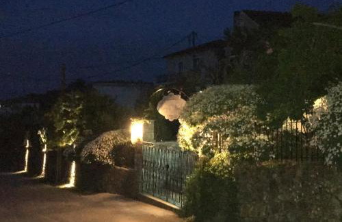 Harry's Studios - Photo 67