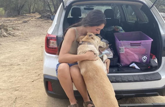 Off-grid 1-bed Cabin in Yokuts Valley - Foto 20