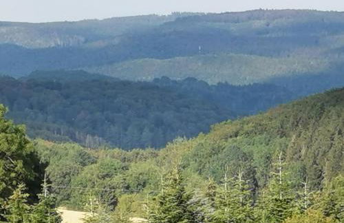 Eifelferienkurth - Photo 40