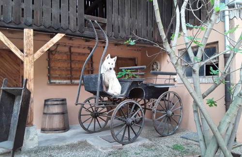 Gites Les Cocottes - Foto 21