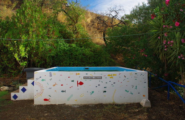 Anas Casa Feliz - Photo 4