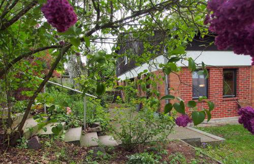 Ferienwohnung am Dümmer See - Foto 27