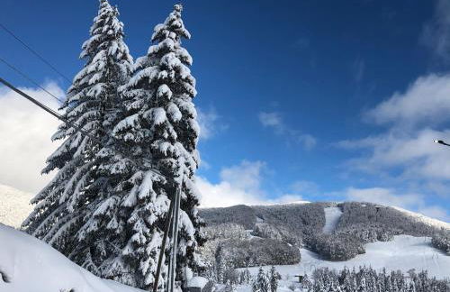 Il Bosco Guest House Subiaco - Foto 76