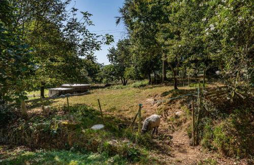 Casa da Penela - Foto 46