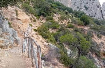 Domu Arangius - Foto 58