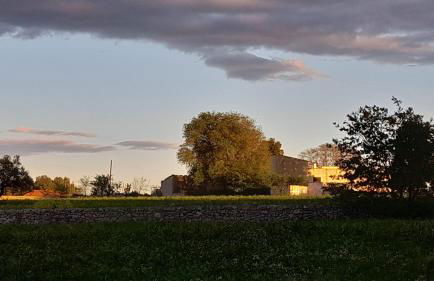 Masseria Ai Pioppi - Foto 55