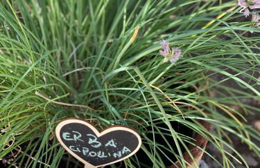 La casetta - Foto 20