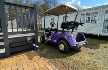 Tigers Wood - 2 bed hot tub lodge with free golf, NO BUGGY - Foto 36