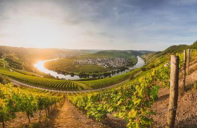 Claes Weinquartier - Appartements & Wine by Niko Schmitt - Foto 17