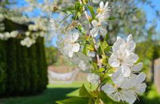 Cinema House Mazury - Foto 6