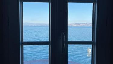 Le Duc D Albe face au lac Léman - Foto 3