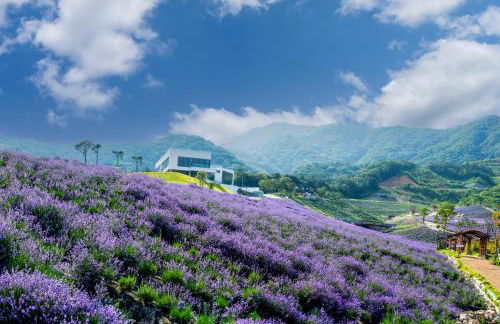 Beautiful Condo at Kihei Ali'i Kai, Close to Beach - Foto 126