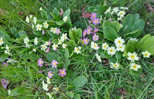 Penty La Houssaye - Photo 18